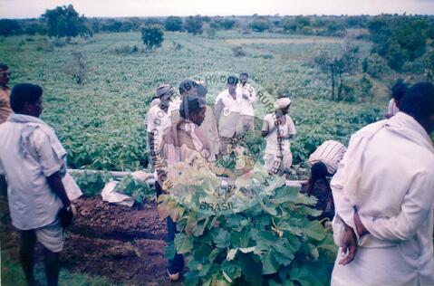 Original Digitaal object not accessible