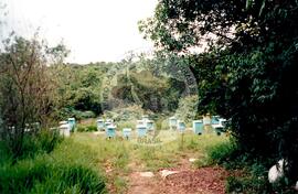 Inauguração da Rádio Comunitária (Itapeva-SP, 28 nov. 2008) [fotografia] / Fotógrafo(a) : Cláudio Foschieira. -- Ref.: BR-SPMST_MST-SN-CIN_AMP_000695-004029-ARV.