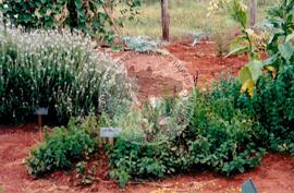 Inauguração da Rádio Comunitária (Itapeva-SP, 28 nov. 2008) [fotografia] / Fotógrafo(a) : Cláudio Foschieira. -- Ref.: BR-SPMST_MST-SN-CIN_AMP_000696-004062-ARV.