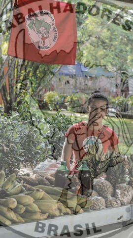 [Título n/d] : lote nº 002, pasta nº 001321, doc. nº 000004 [imagem] / Fotógrafo(a) : [autoria n/d].