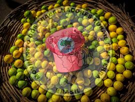 [Título n/d] : lote nº 002, pasta nº 001320, doc. nº 000019 [imagem] / Fotógrafo(a) : [autoria n/d].