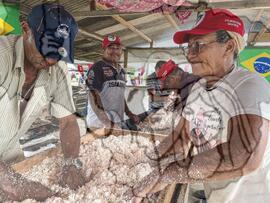 [Título n/d] : lote nº 002, pasta nº 001345, doc. nº 000008 [imagem] / Fotógrafo(a) : [autoria n/d].