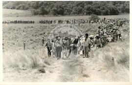 Assentamento "Fazenda Annoni" do MST (Júlio de Castilho-RS, Sarandi-RS, 1987 a 1993) [fotografia] / Fotógrafo(a) : Antonio C. Argemi ; Arquivo MST. -- Ref.: BR-SPMST_MST-SN-CIN_AMP_000175-001258-ASS.