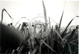 Grupo Projeto Liberdade-Despejo Fazenda Pandeny (São Paulo (Estado), [sem data]) [fotografia] / Fotógrafo(a) : Douglas Mansur. -- Ref.: BR-SPMST_MST-SN-CIN_AMP_001791-012943-VPP.