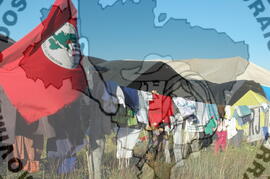 [Título n/d] : lote nº 002, pasta nº 000045, doc. nº 000443 [imagem] / Fotógrafo(a) : [autoria n/d].