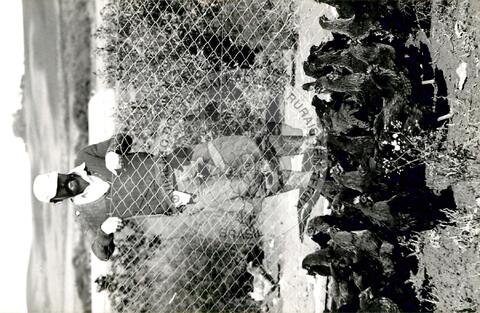 Original Document numérique not accessible