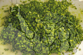 [Título n/d] : lote nº 002, pasta nº 001343, doc. nº 000014 [imagem] / Fotógrafo(a) : [autoria n/d].