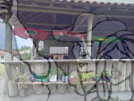 [Título n/d] : lote nº 002, pasta nº 000033, doc. nº 000044 [imagem] / Fotógrafo(a) : [autoria n/d].