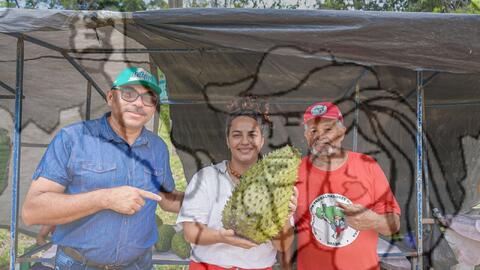 Original Objeto digital not accessible