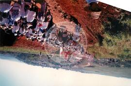 Romaria Fazenda Giacometti, 12o (Paraná, 21 jan.) [fotografia] / Fotógrafo(a) : Rafael Borges. -- Ref.: BR-SPMST_MST-SN-CIN_AMP_001965-015041-SPR.