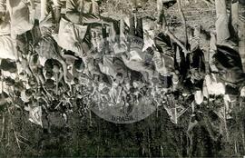 Ocupação Irani (Irani-SC, 11 dez.) [fotografia] / Fotógrafo(a) : Arquivo MST. -- Ref.: BR-SPMST_MST-SN-CIN_AMP_001900-014231-OCU.