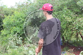 [Título n/d] : lote nº 002, pasta nº 000014, doc. nº 000255 [imagem] / Fotógrafo(a) : [autoria n/d].