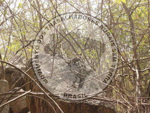 Original Objeto digital not accessible