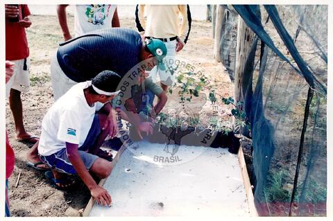 Original Objeto digital not accessible