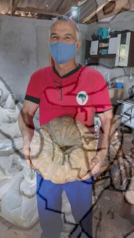 [Título n/d] : lote nº 002, pasta nº 001351, doc. nº 000332 [imagem] / Fotógrafo(a) : [autoria n/d].