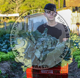 [Título n/d] : lote nº 002, pasta nº 001351, doc. nº 000002 [imagem] / Fotógrafo(a) : [autoria n/d].