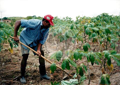 Original Objeto digital not accessible