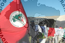 [Título n/d] : lote nº 002, pasta nº 000045, doc. nº 000447 [imagem] / Fotógrafo(a) : [autoria n/d].