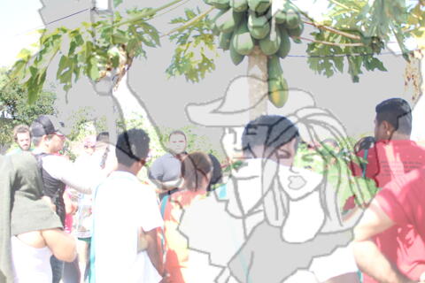 Original Objeto digital not accessible