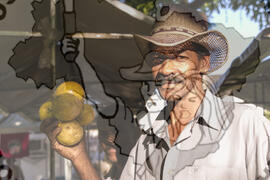 [Título n/d] : lote nº 002, pasta nº 001319, doc. nº 000075 [imagem] / Fotógrafo(a) : [autoria n/d].