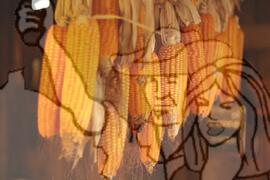 [Título n/d] : lote nº 002, pasta nº 001350, doc. nº 000207 [imagem] / Fotógrafo(a) : [autoria n/d].