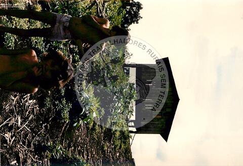 Original Document numérique not accessible