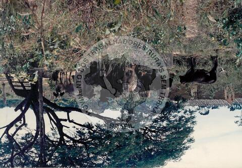 Original Digitaal object not accessible