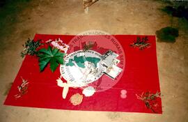 Inauguração da Rádio Comunitária (Itapeva-SP, 28 nov. 2008) [fotografia] / Fotógrafo(a) : Cláudio Foschieira. -- Ref.: BR-SPMST_MST-SN-CIN_AMP_000695-004024-ARV.