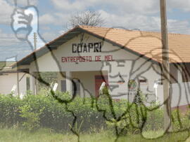 [Título n/d] : lote nº 002, pasta nº 000043, doc. nº 000223 [imagem] / Fotógrafo(a) : [autoria n/d].