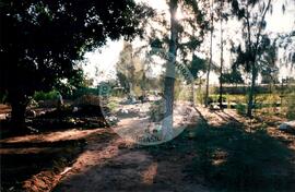 Visita à África - Maguilla (Africa, [sem data]) [fotografia] / Fotógrafo(a) : Arquivo MST. -- Ref.: BR-SPMST_MST-SN-CIN_AMP_001100-009042-RIT.