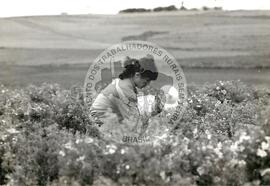 Assentamento "Conquista da Fronteira do MST (Hulha Negra-RS, nov. 1993) [fotografia] / Fotógrafo(a) : Milton Pomar. -- Ref.: BR-SPMST_MST-SN-CIN_AMP_000178-001283-ASS.