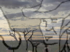 [Título n/d] : lote nº 002, pasta nº 000043, doc. nº 000190 [imagem] / Fotógrafo(a) : [autoria n/d].