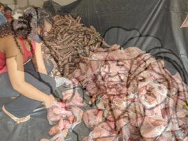 [Título n/d] : lote nº 002, pasta nº 001351, doc. nº 000428 [imagem] / Fotógrafo(a) : [autoria n/d].