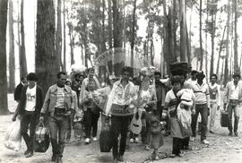 Lavradores do interior acampam na capital ao lado da Assembléia Legislativa (São Paulo-SP, 26 ago. 1985) [fotografia] / Fotógrafo(a) : Regina Vilela. -- Ref.: BR-SPMST_MST-SN-CIN_AMP_000362-001743-AMT.