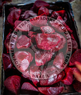 [Título n/d] : lote nº 002, pasta nº 001350, doc. nº 000121 [imagem] / Fotógrafo(a) : [autoria n/d].