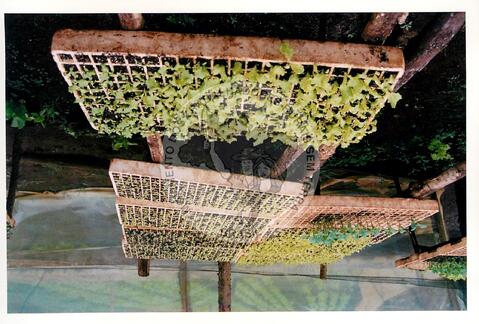 Original Document numérique not accessible