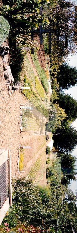 Plantações (Honduras, [sem data]) [fotografia] / Fotógrafo(a) : Arquivo MST. -- Ref.: BR-SPMST_MST-SN-CIN_AMP_001111-009178-RIT.