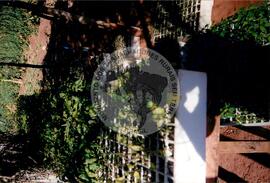 Assentamento "Ribeirão Bonito"do MST (Rio Grande do Sul, [sem data]) [fotografia] / Fotógrafo(a) : Arquivo MST. -- Ref.: BR-SPMST_MST-SN-CIN_AMP_000186-001324-ASS.