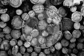 [Título n/d] : lote nº 002, pasta nº 001324, doc. nº 000046 [imagem] / Fotógrafo(a) : [autoria n/d].