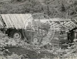 Assentamento "Derrubada" do MST (Ponte Serrada-SC, jan. 1986) [fotografia] / Fotógrafo(a) : Milton Soares. -- Ref.: BR-SPMST_MST-SN-CIN_AMP_000190-001346-ASS.