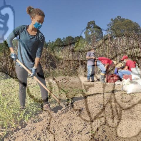 Original Objeto digital not accessible