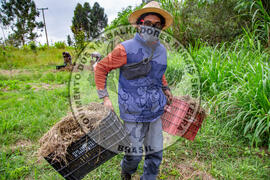 [Título n/d] : lote nº 002, pasta nº 001317, doc. nº 000032 [imagem] / Fotógrafo(a) : [autoria n/d].