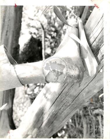 Original Digitaal object not accessible