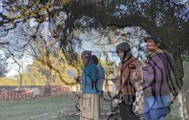 [Título n/d] : lote nº 002, pasta nº 000029, doc. nº 000020 [imagem] / Fotógrafo(a) : [autoria n/d].