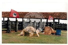 Acampamento "Guarantã" (São Paulo (Estado), jul. 1998) [fotografia] / Fotógrafo(a) : Douglas Mansur. -- Ref.: BR-SPMST_MST-SN-CIN_AMP_000045-000219-ACP.