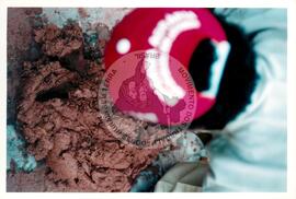 Semana Nacional de Cultura Brasileira e Reforma Agrária (Rio de Janeiro-RJ, 18 mar. 2002) [fotografia] / Fotógrafo(a) : Luciney Martins. -- Ref.: BR-SPMST_MST-SN-CIN_AMP_001820-013609-NDT.