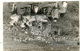 800 Famílias ocupam a Fazenda Padroeira Brasil (Matelândia-PR, 15 out. 1986) [fotografia] / Fotógrafo(a) : O Estado do Paraná. -- Ref.: BR-SPMST_MST-SN-CIN_AMP_001862-014139-OCU.