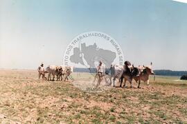 COPAC (Rio Grande do Sul, 1993) [fotografia] / Fotógrafo(a) : Claudemir Bittencourt. -- Ref.: BR-SPMST_MST-SN-CIN_AMP_001974-015147-PDU.