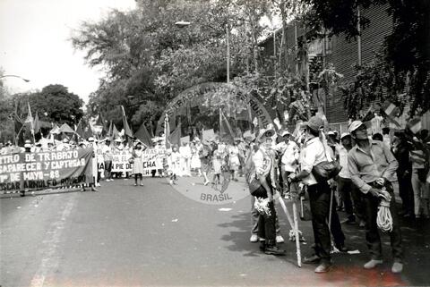 Original Document numérique not accessible