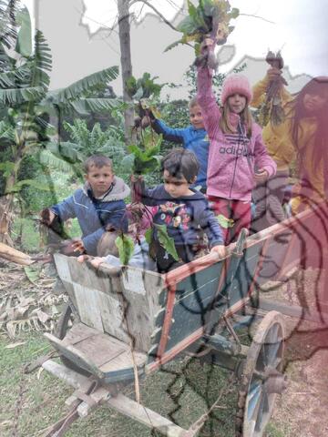 Original Objeto digital not accessible